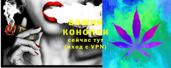 дмт Киреевск