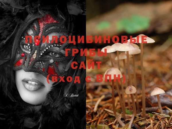 сатива Киренск