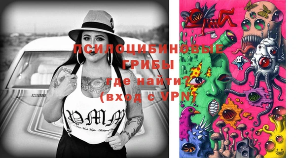 сатива Киренск